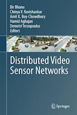 Distributed Video Sensor Networks