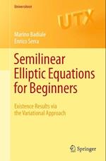Semilinear Elliptic Equations for Beginners