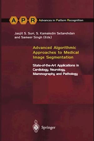 Advanced Algorithmic Approaches to Medical Image Segmentation