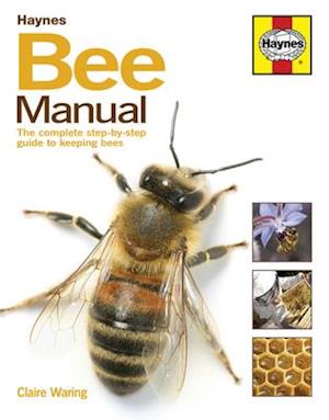 Bee Manual