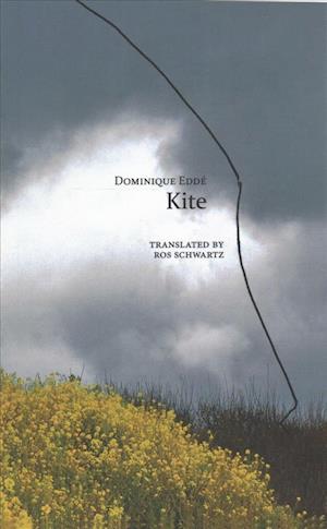 Kite