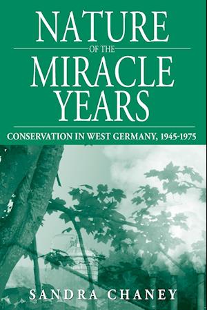 Nature of the Miracle Years