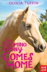 Palomino Pony Comes Home