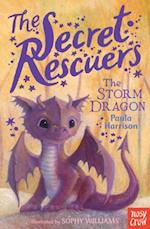 Secret Rescuers: The Storm Dragon