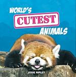 World's Cutest Animals