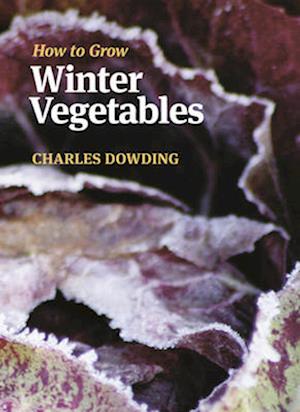 How to Grow Winter Vegetables