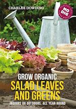 Grow Organic Salad Leaves and Greens