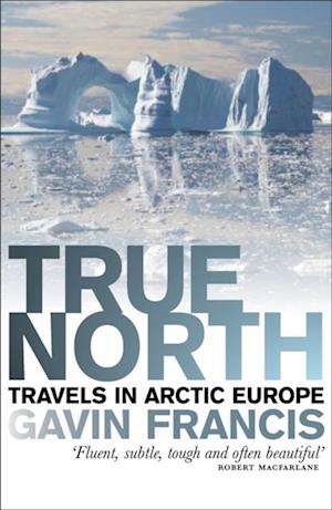 True North : Travels in Arctic Europe
