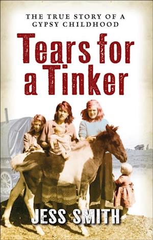 Tears for a Tinker : The True Story of a Gypsy Childhood