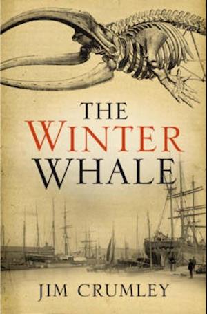 Winter Whale