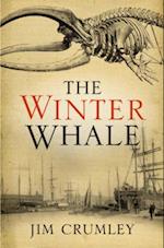 Winter Whale