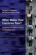 What Makes Poor Countries Poor?