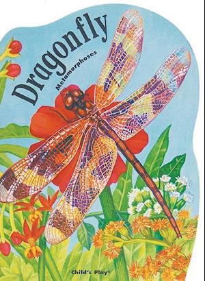 Baker, S:  Dragonfly