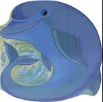 Pocket Dolphin