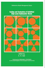 Testing and Evaluation of Solidified High-level Radioactive Waste