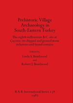 Prehistoric Village Archaeology in South-Eastern Turkey