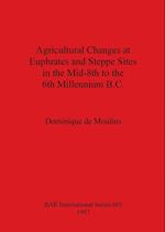 Agricultural Changes at Euphrates and Steppe Sites in the Mid-8th to the 6th Millennium B.C. 