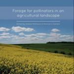 Forage for Pollinators in an Agricultural Landscape 