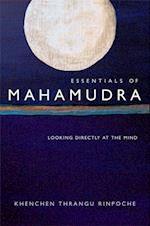 Essentials of Mahamudra