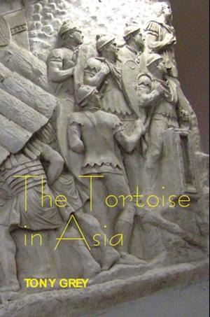 Tortoise in Asia