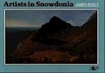 Artists in Snowdonia