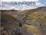 Pigs and Ingots - The Lead and Silver Mines of Cardiganshire