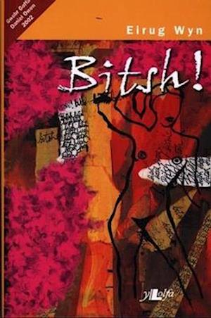 Bitsh! - Gwobr Goffa Daniel Owen 2002