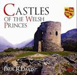 Castles of the Welsh Princes