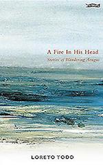 Fire in His Head: Stories of Wandering Aengus 