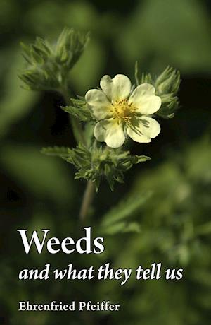 Weeds and What They Tell