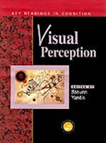 Visual Perception