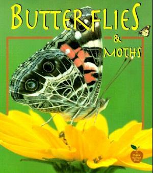 Butterflies and Moths