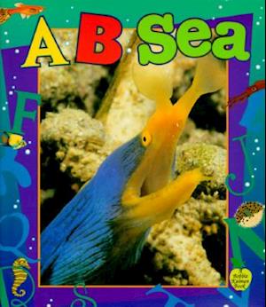 A...B...Sea