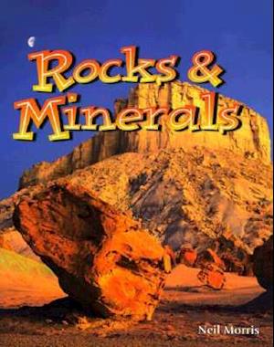 Rocks and Minerals