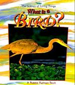 What Is a Bird?