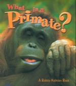 What Is a Primate?