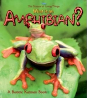 What Is an Amphibian?