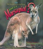 What Is a Marsupial?