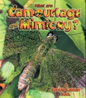 What Are Camouflage & Mimicry?