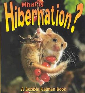 What is Hibernation?