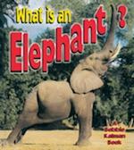 What Is an Elephant?