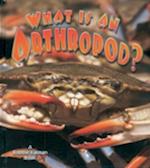 What Is an Arthropod?