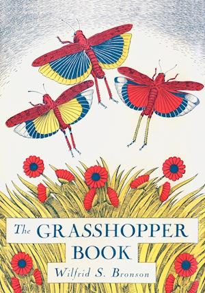 The Grasshopper Book