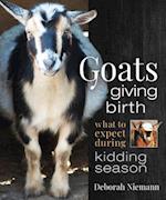 Goats Giving Birth : What to Expect during Kidding Season 