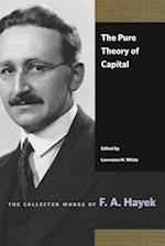 Pure Theory of Capital