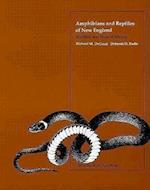 DeGraaf, R:  Amphibians and Reptiles of New England