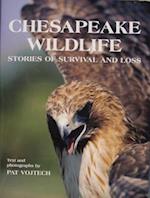 Vojtech, P: Chesapeake Wildlife