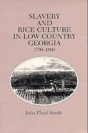 Slavery Rice Culture