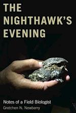 The Nighthawk's Evening