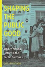Shaping the Public Good